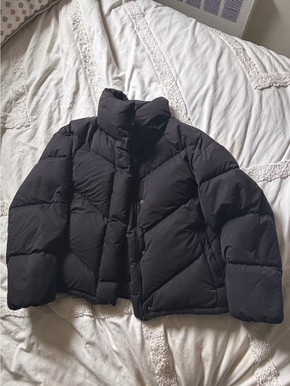 Aritzia the cloud puff puffer jacket